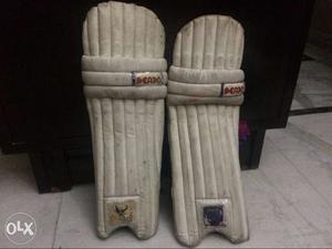 Good quality cricket pads at ₹600 only