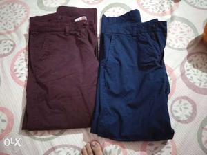 Coloured trousers of Izod brand