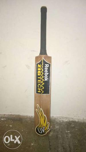 Kashmir willow pure lether bat usd only 1 months
