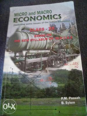 Micro And Macro Economics Book
