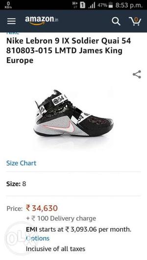 Nike Lebron 9 IX  Limited edition.