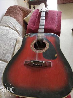 Original Hobner Guitar