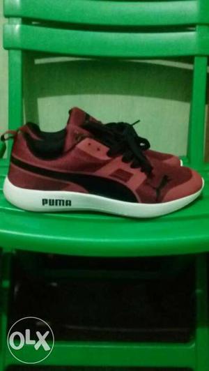 Pair Of Brown-and-black Puma Low Top Sneakers