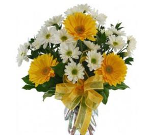Send birthday and anniversary flowers to Chandigarh