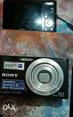 Black Sony Point-and-shoot Camera