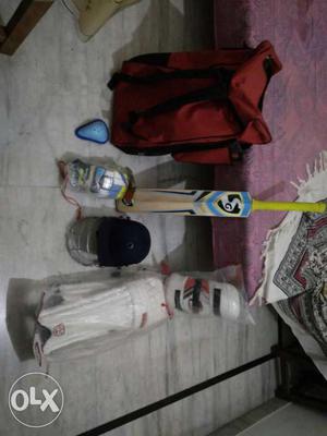 Complete cricket kit of SS with 1SG bat newly