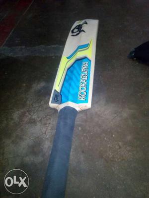 I bought this bat for 990
