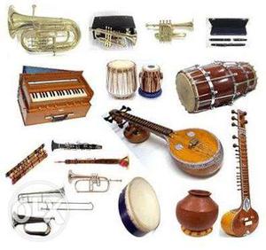 Musical Instruments bags sale