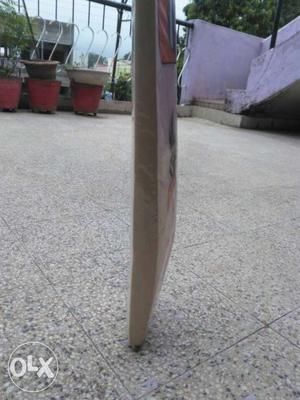 New non used dues bat...hurry