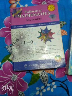 Rudiments of Mathematics good book, good condition