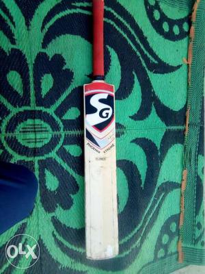 Sg bat Kashmir willow