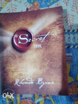 The secrets novel book