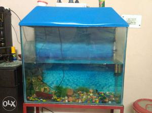 2*2 fish acqurium with accessories like water