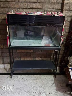 Acquarium with metal stand for sale in Mysore