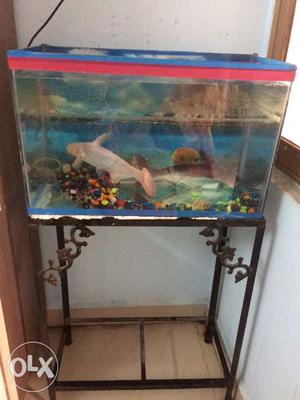 Aquarium,Stand,Filter with Big fishes