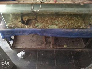 Big size Fish tank for sale