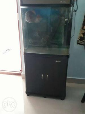 Fish tank set for sell with all equipment without