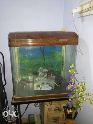 Imported fish aquarium for sale with metal stand