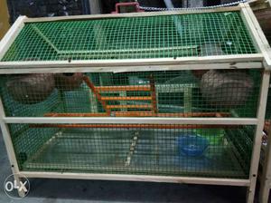 New birds cages for sale..
