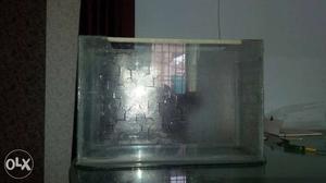 Only fish beautiful tank