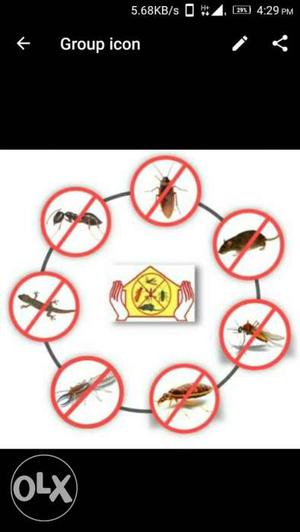Pest control recuriement contact me service in