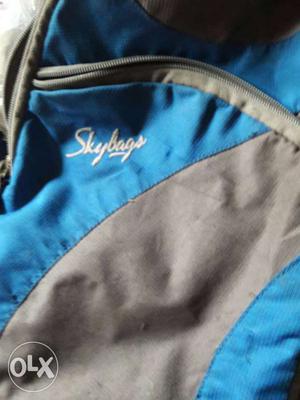 Gray And Blue Skybags Backpack