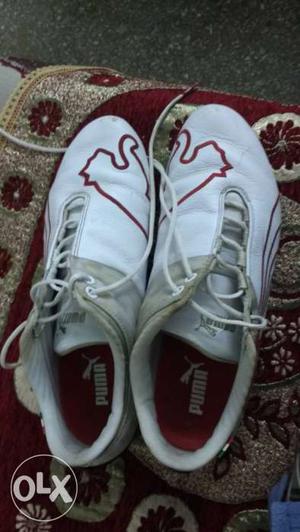 Pair Of White Puma Sneakers