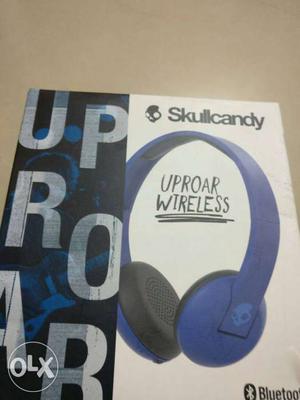 Skull candy Brand new headset. Not even used once perfectly