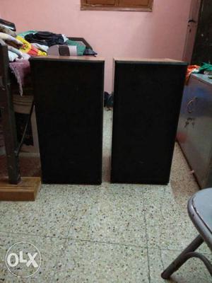 Two Black Speakers pure wood
