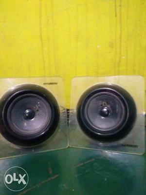 Two Round Black Subwoofers