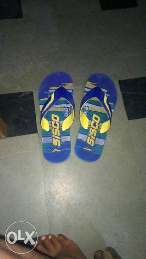 Pair Of Blue-and-yellow Sisco Flip Flops
