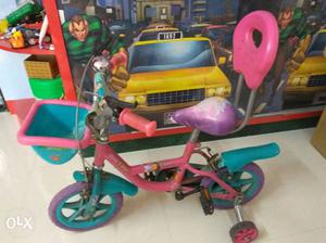 Toddler's Pink Teal And Purple Bicycle With Trainer Wheels