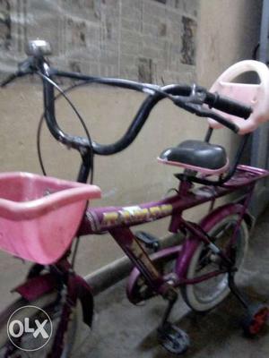 Toddler's Purple And Pink Bike