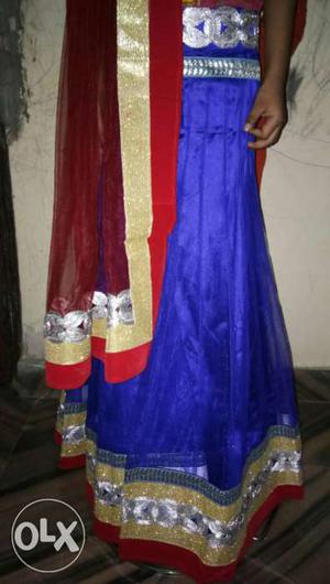 Women's Red, Brown, And Blue Sari