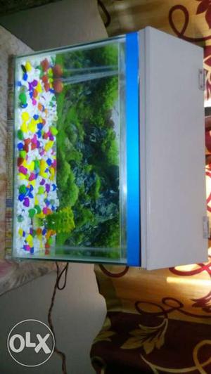1.4ft fish tank with 2kg marbles & oxygen machine