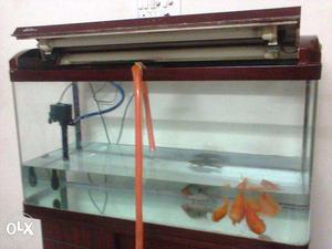 FISH TANK cleaning -doorstep (CHENNAI)