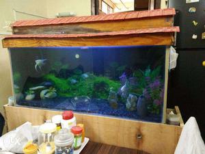 Fish Tank For Sale