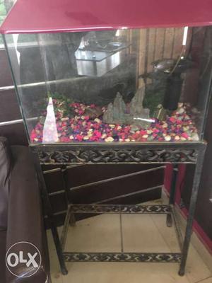 Fish aquarium with iron stand and water filter