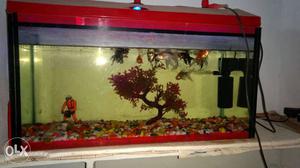 Fish aquarium with stand, filter and stones
