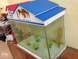 Fish tank with pebbles, plants & water purifier. No fishes