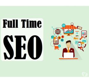 Hire Full Time Seo Consultant Indore
