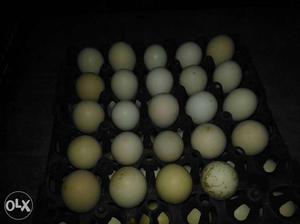 Tray Of Chicken Eggs
