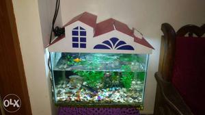 White And Beige Frame Fish Tank