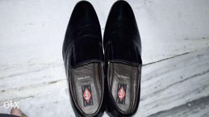 Branded new Lee Cooper shoes (8 no.)