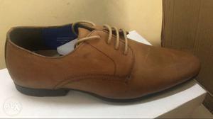 Brown Suede Oxford Shoe