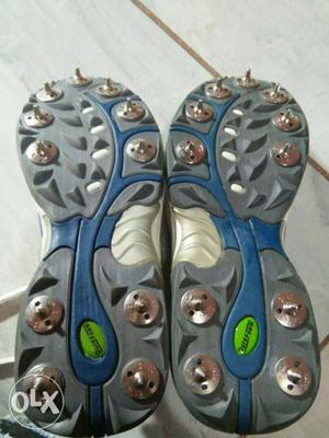 Gray And Blue Shoe Soles
