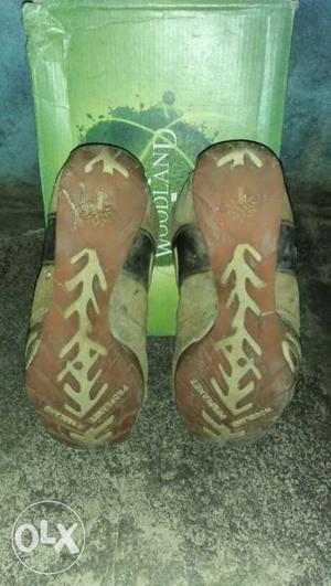 Pair Of Brown Woodland Sandals With Box