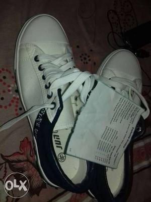 Size 41 blue n white shoe canverse intrested ppl