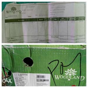 Woodland Brand New Shoe