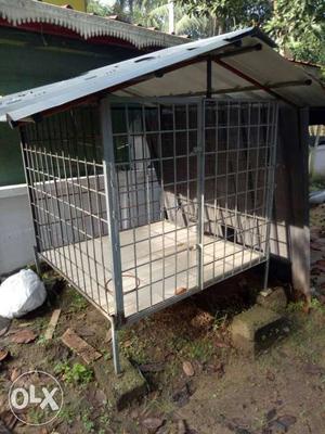 4-feet sure dogs cage exelent condition